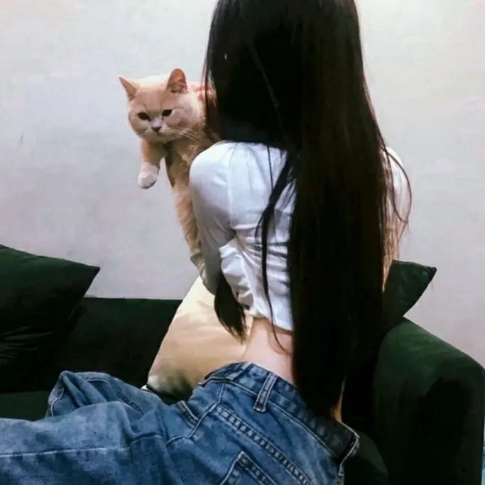 背锅船长
